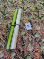 EXCLUSIVE LACE - Image 2